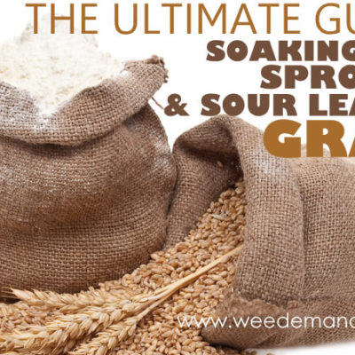 The Ultimate Guide to Soaking, Sprouting, & Sour Leavening Grains – Part 1