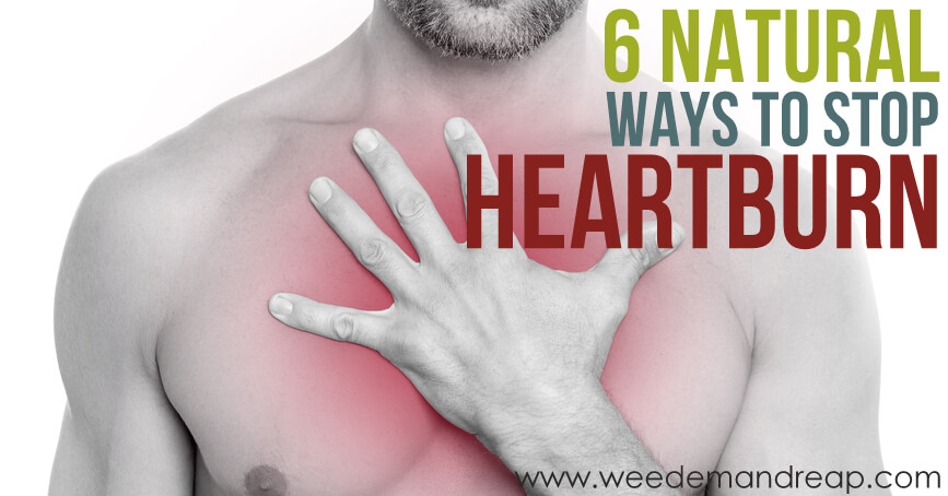 6 Natural Ways to Stop Heartburn