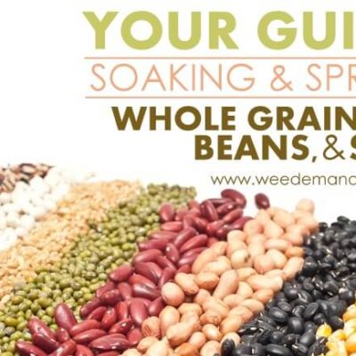 Your Guide to Soaking & Sprouting Whole Grains, Beans, Nuts, & Seeds