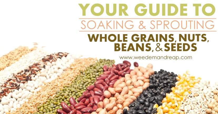 Your Guide to Soaking & Sprouting Whole Grains, Nuts, Beans, & Seeds | Weed 'Em and Reap