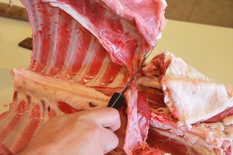 How to Butcher & Process a Lamb - Part 2