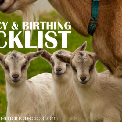 Goat Pregnancy & Kidding Checklist