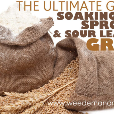 The Ultimate Guide to Soaking, Sprouting, & Sour Leavening Grains – Part 3