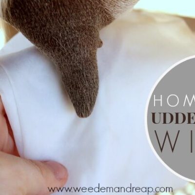 Homemade Udder & Teat Wipes