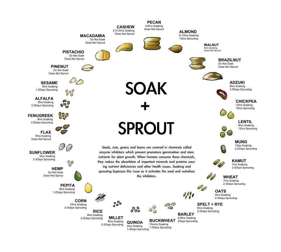 chart of beans and their ability to be soaked and sprouted