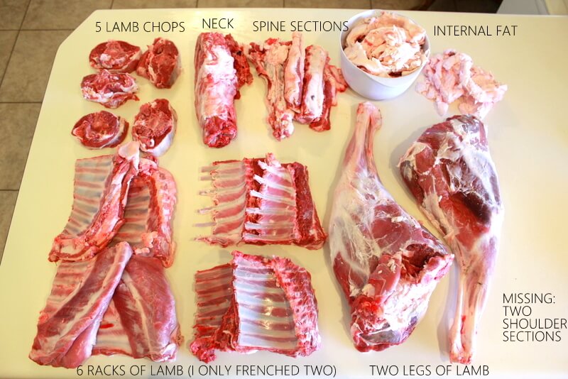 Lamb Cuts