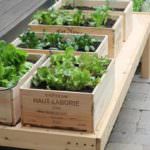 wine box garden beds