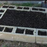 cinder block garden beds