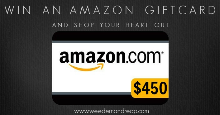 Win an AMAZON Gift Card!
