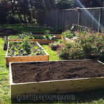 raised garden beds for $35