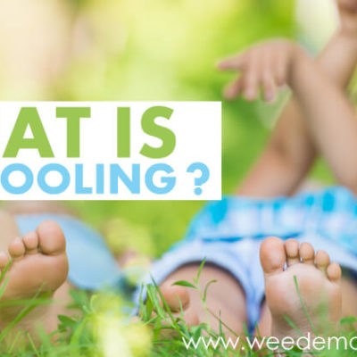 What is Unschooling?