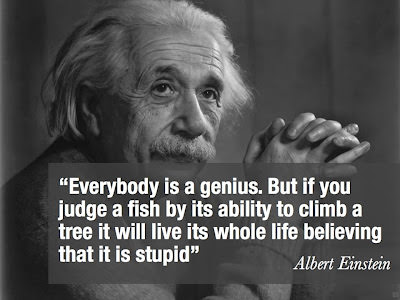 Albert Einstein quote