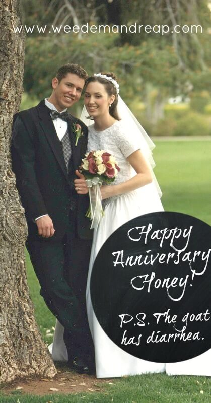 Happy Anniversary Honey! P.S. The Goat has Diarrhea. | Weed 'Em and Reap
