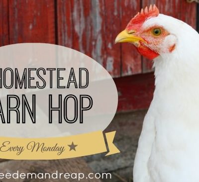 Homestead Barn Hop #163