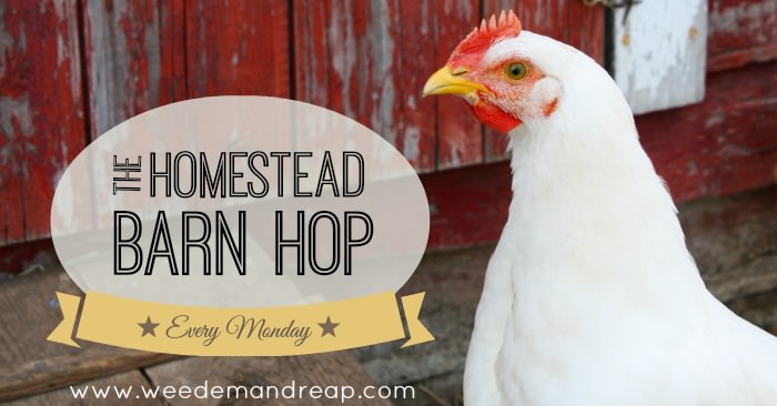 The Homestead Barn Hop!