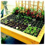 garden bed with trellis