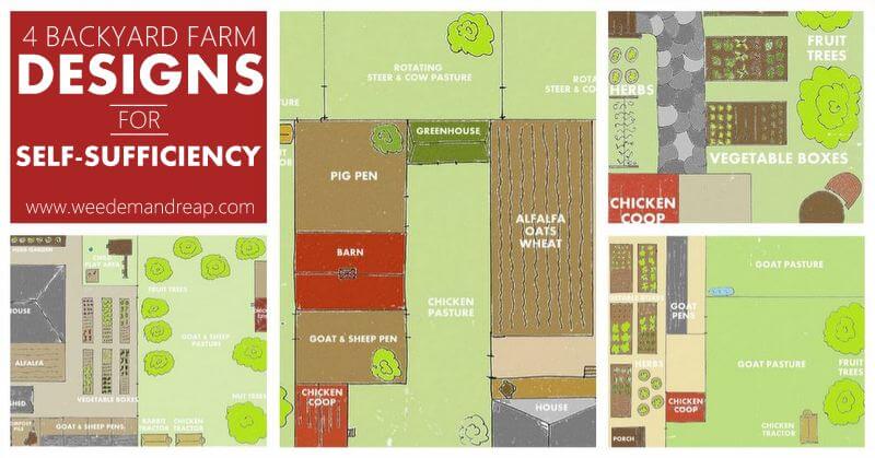 4 Backyard Designs for Self-Sufficiency | Weed 'Em and Reap