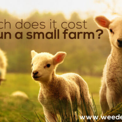 How Much Does it Cost to Run a Small Farm?