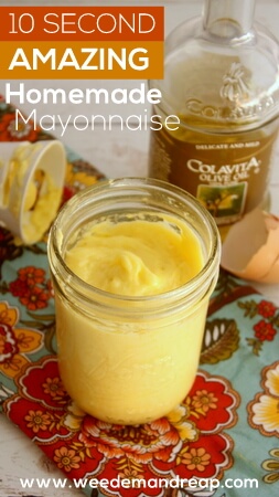 10 Second AMAZING Homemade Mayonnaise