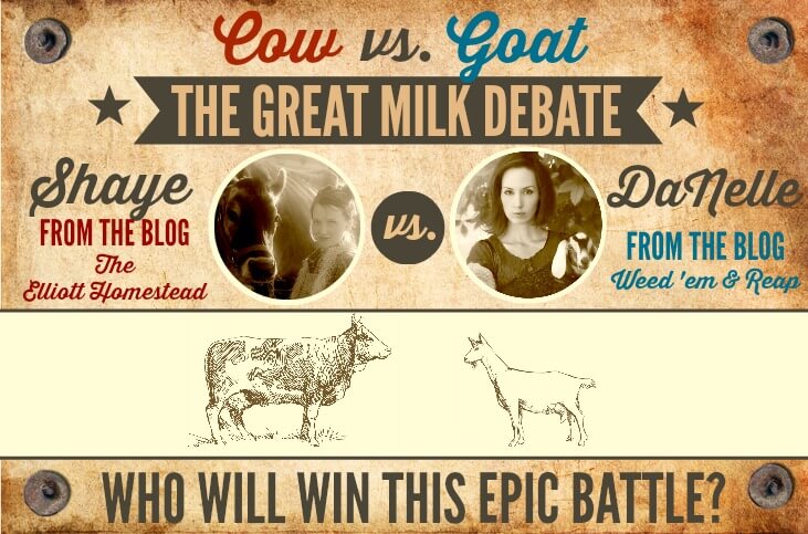 Cow vs. Goat: The Great Milk Debate