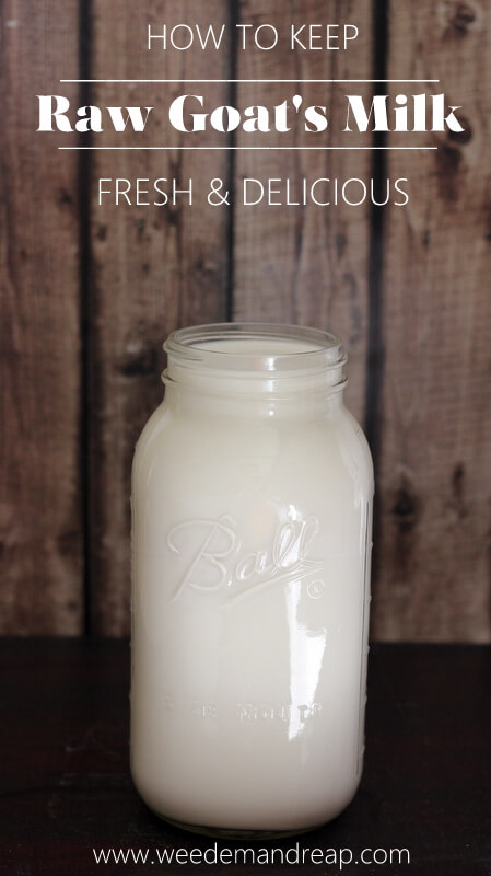 store-raw-goats-milk