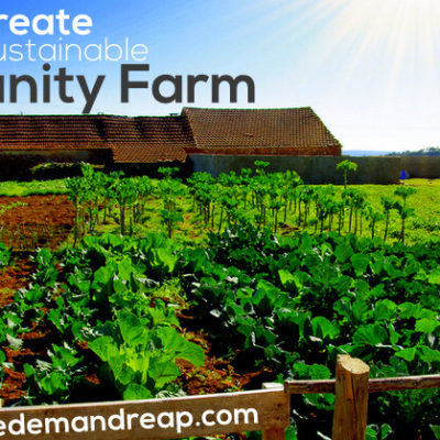 How to Create a Self-Sustainable Community Farm