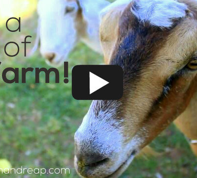 VIDEO | Take a Tour of our Farm!