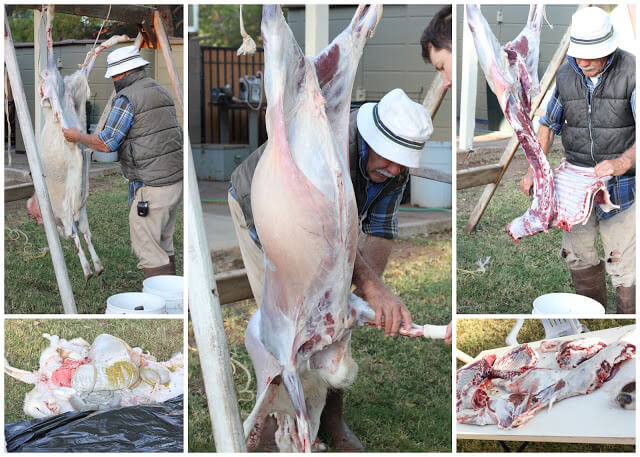 Butchering a Lamb named Peeta - Weed 'em & Reap.