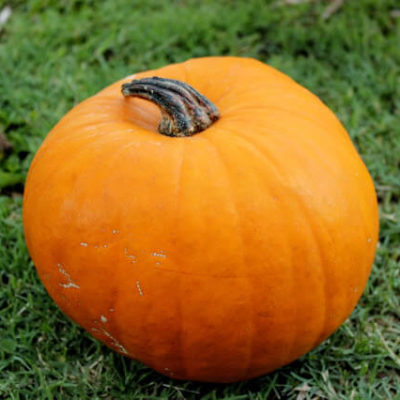 When life hands you pumpkins…