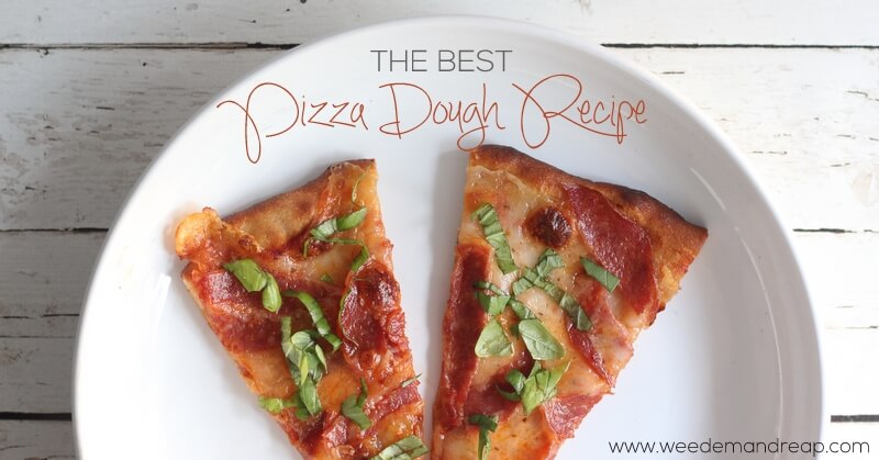 The Best Pizza Dough Recipe