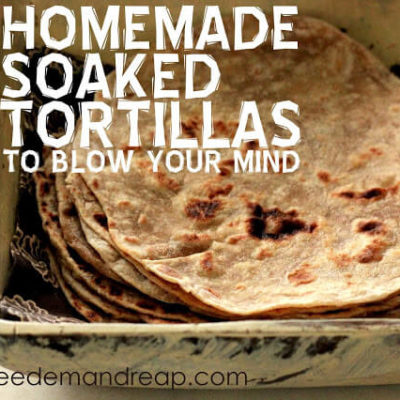 Homemade Soaked Tortillas (To Blow Your Mind!)