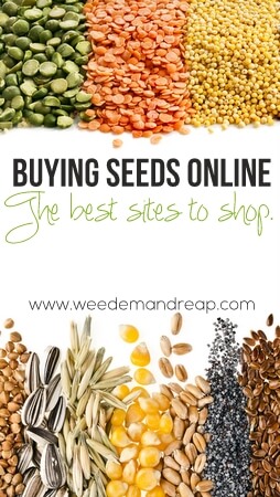 Buying Seeds Online!