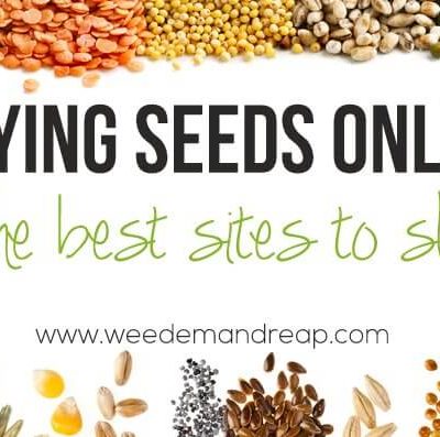 Buying Seeds Online: The Best Sites to shop!