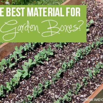 The Best Material for Raised Garden Boxes