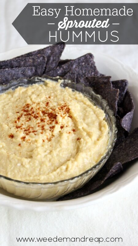 sprouted-hummus-recipe-3