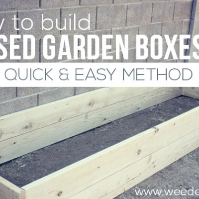 How to Build Raised Garden Boxes