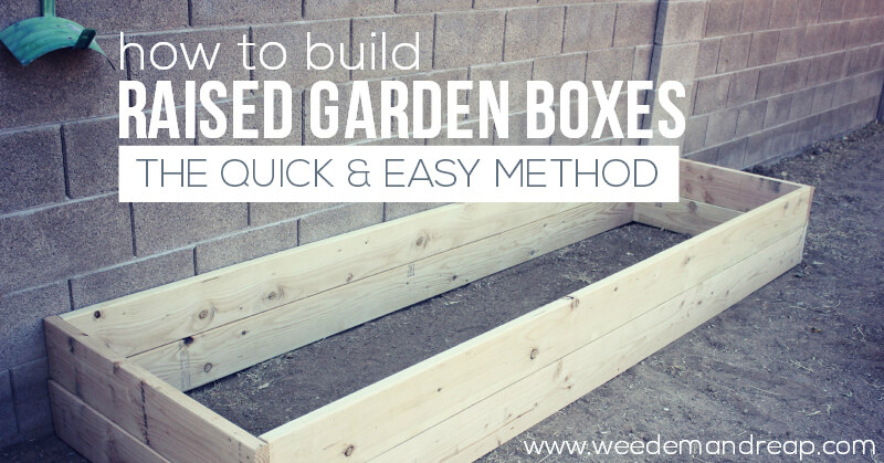 How To Build Raised Garden Boxes - What Kind Of Wood To Build Garden Box