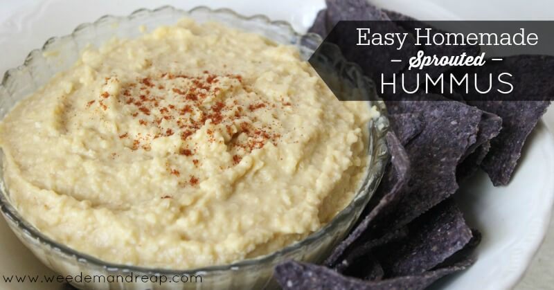 sprouted-hummus-recipe