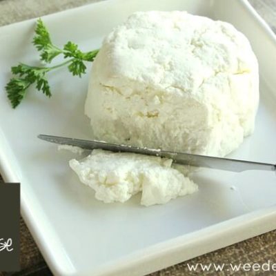 Recipe | Homemade Chevre Goat Cheese