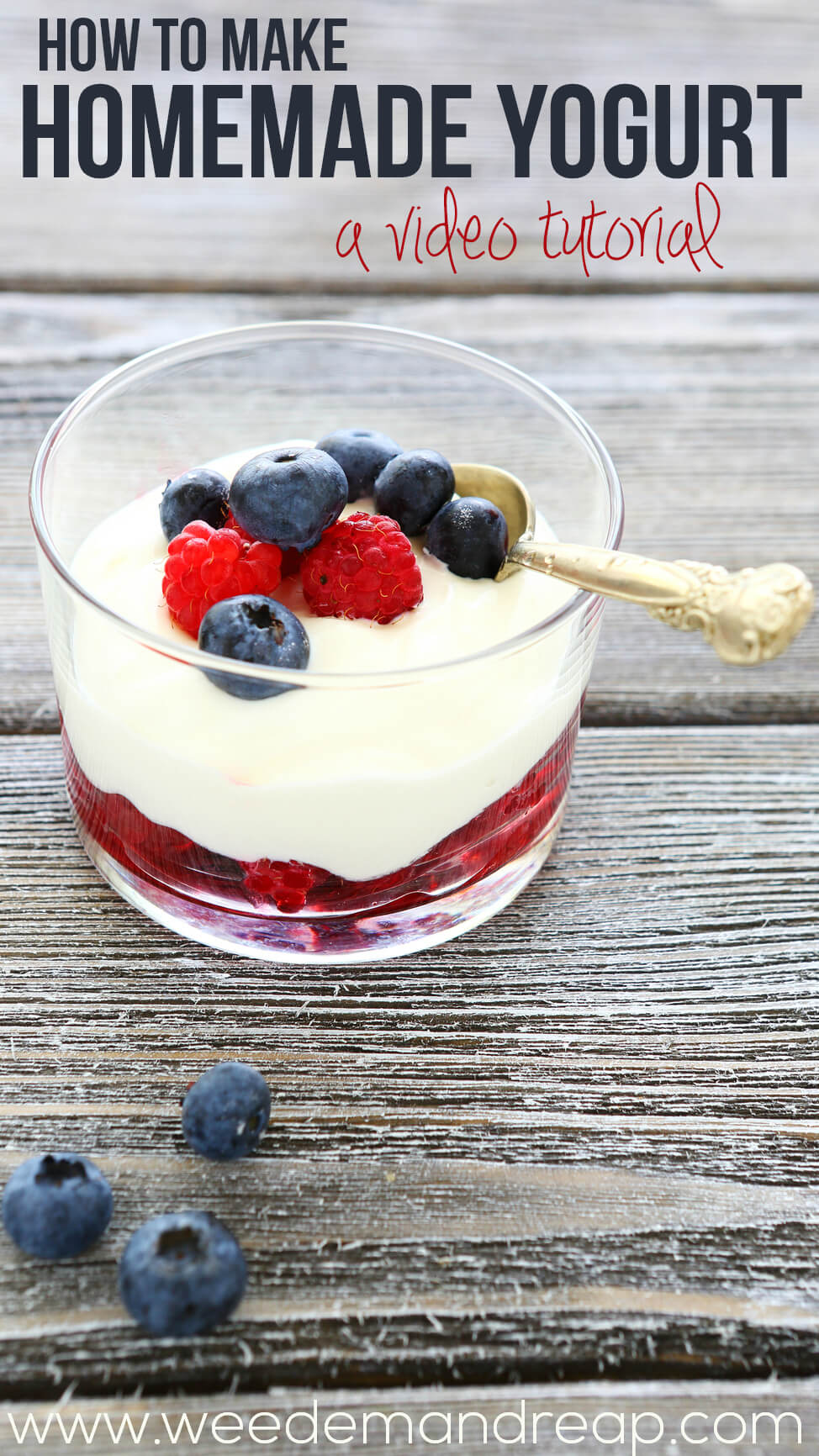 homemade yogurt with ripe berries