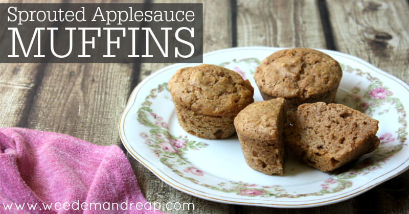 Sprouted Applesauce Muffins