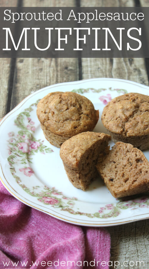 Sprouted Applesauce Muffins vertical