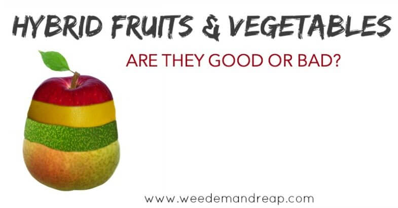 Hybrid Fruits & Vegetables: Are they good or bad?