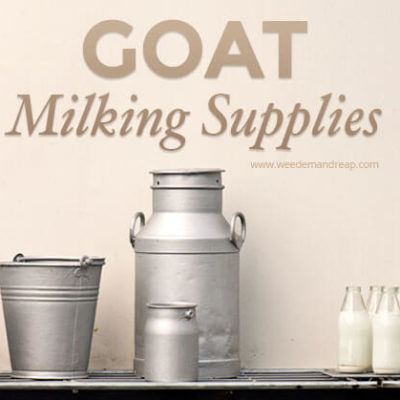 Goat Milking Supplies