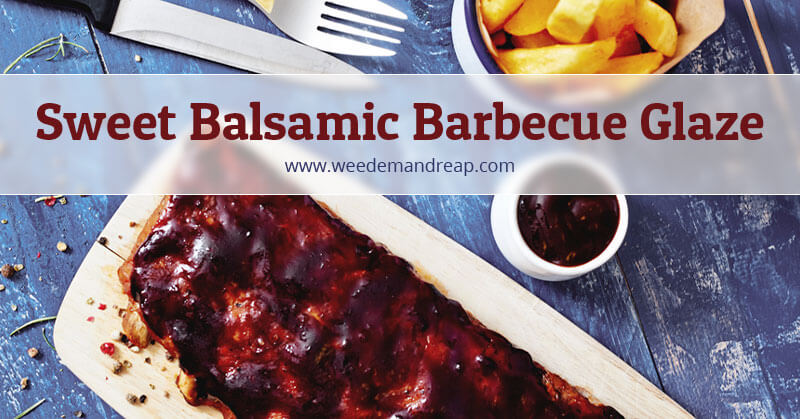 Sweet Balsamic Barbecue Glaze Recipe | Weed 'Em and Reap