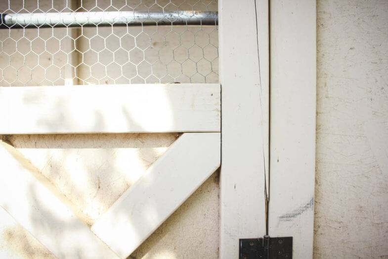 white door to a chicken coop