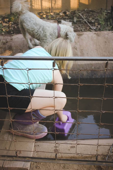 drawing water from a farm