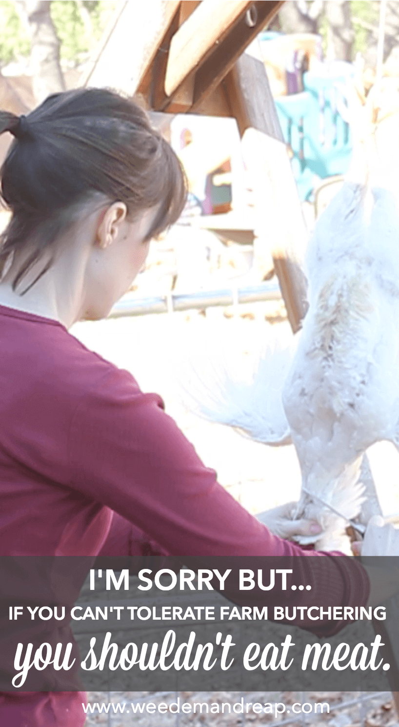 If You Can't Tolerat Farm Butchering, You Shouldn't Eat Meat. || Weed 'Em and Reap