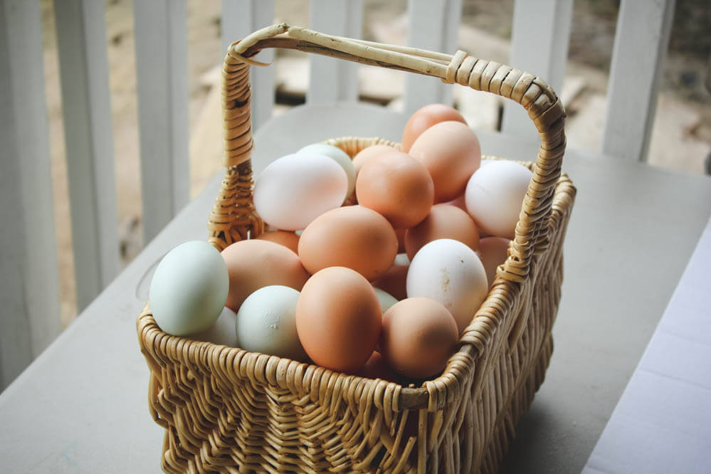 basket of chicken eggs