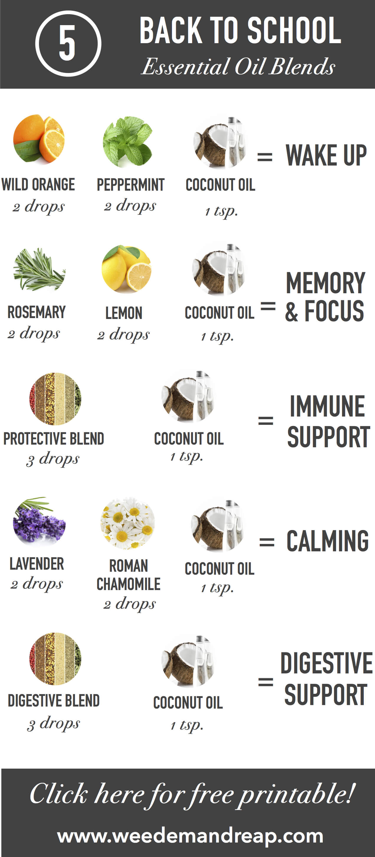 The Best Essential Oils for Focus + 7 Diffuser Blends